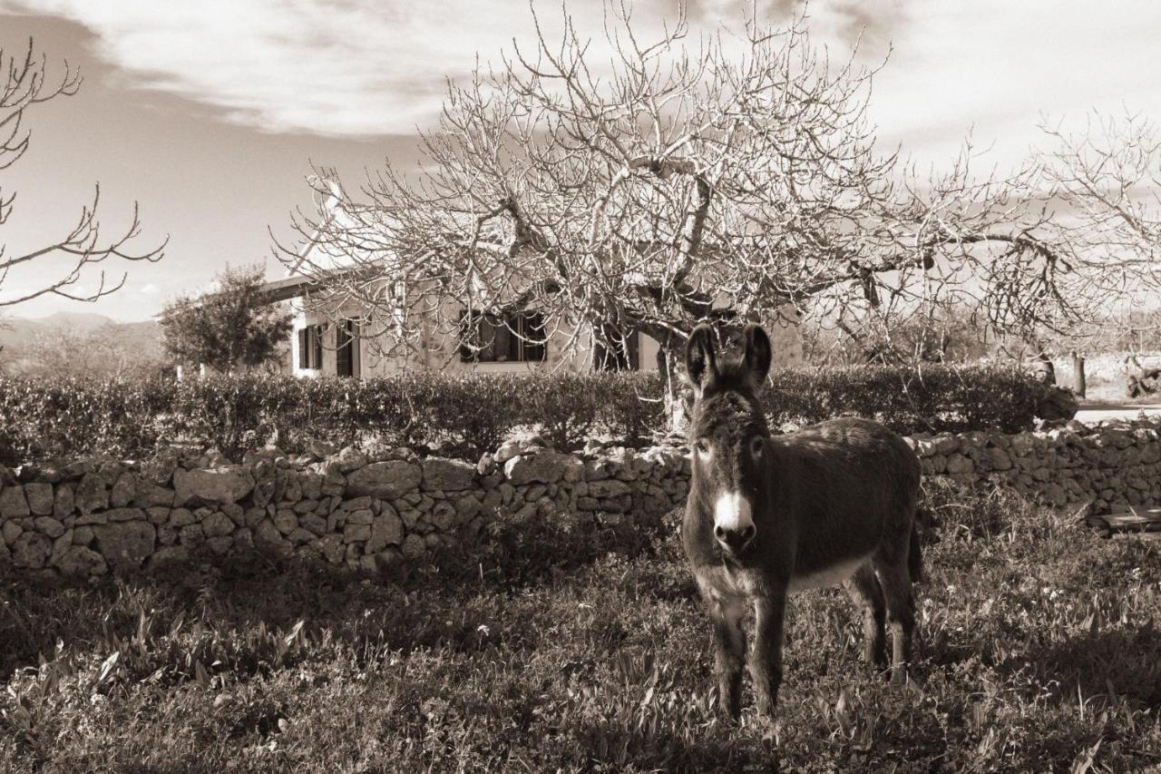 155 Finca Son Rossignol By Mallorca Charme Sineu  Eksteriør bilde