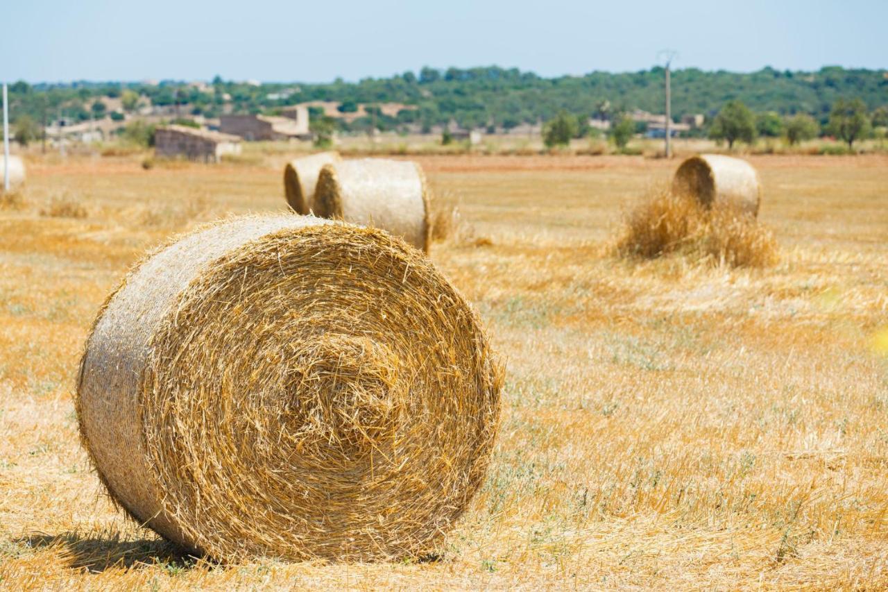 155 Finca Son Rossignol By Mallorca Charme Sineu  Eksteriør bilde
