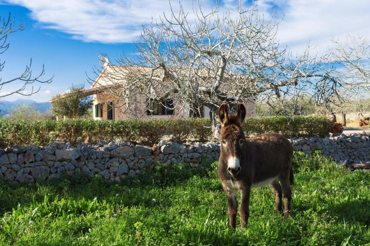155 Finca Son Rossignol By Mallorca Charme Sineu  Eksteriør bilde